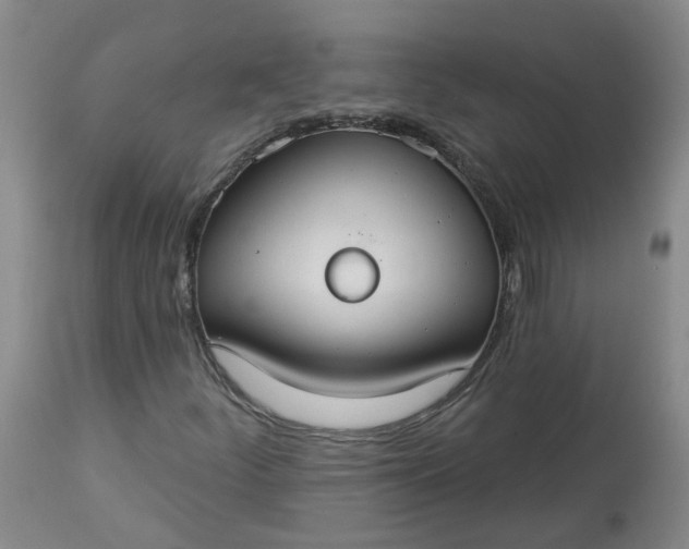 X0000113061252200909110906