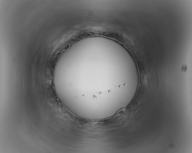 X0000113061253200909110906