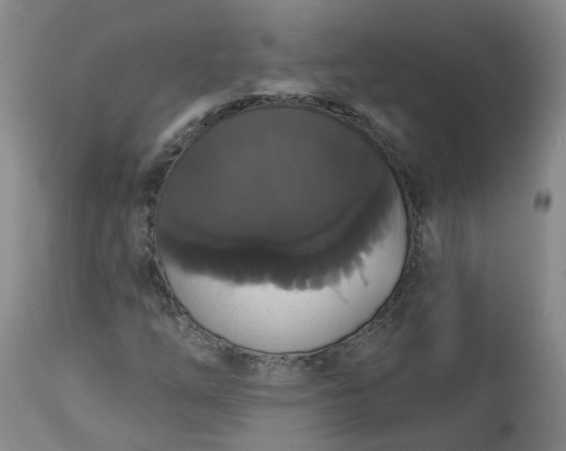 X0000113061254200909110906