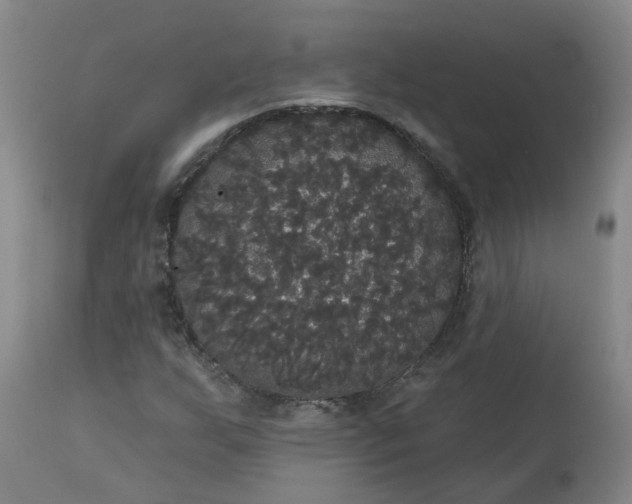 X0000113061255200909110906