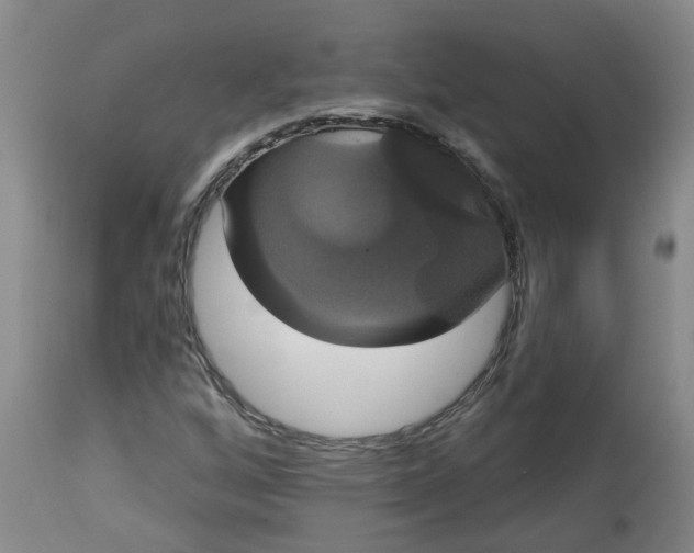 X0000113061256200909110906