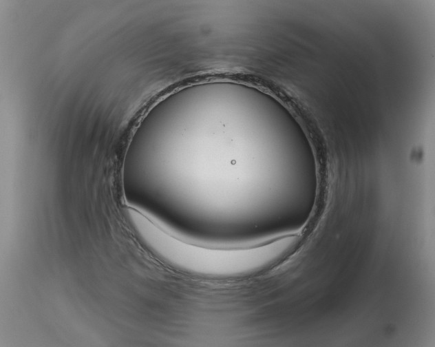 X0000113061257200909110906
