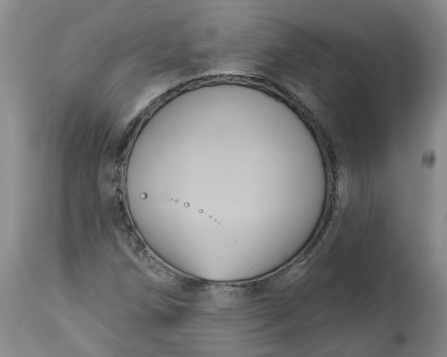 X0000113061258200909110906