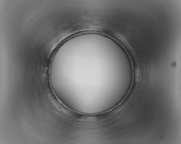 X0000113061260200909110906