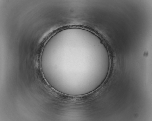 X0000113061262200909110906