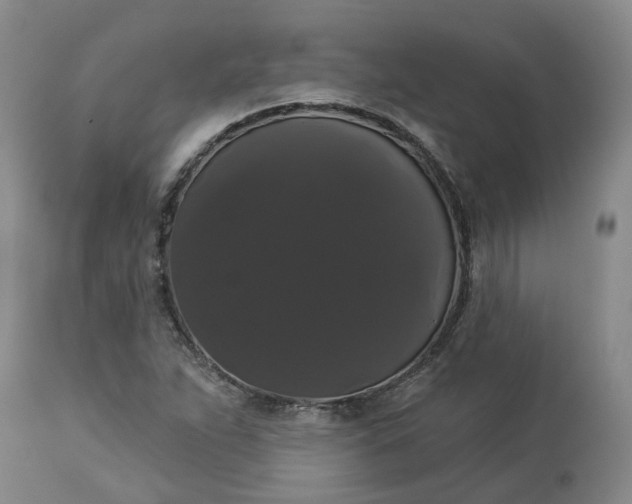 X0000113061263200909110906