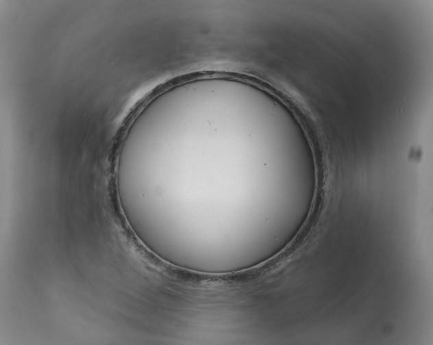 X0000113061264200909110906