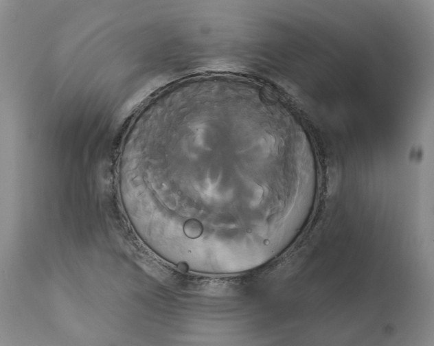 X0000113061266200909110906