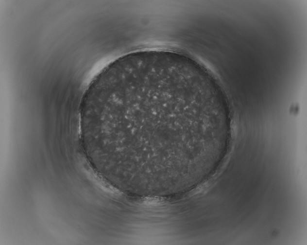 X0000113061267200909110906