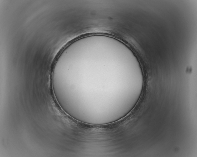 X0000113061268200909110906