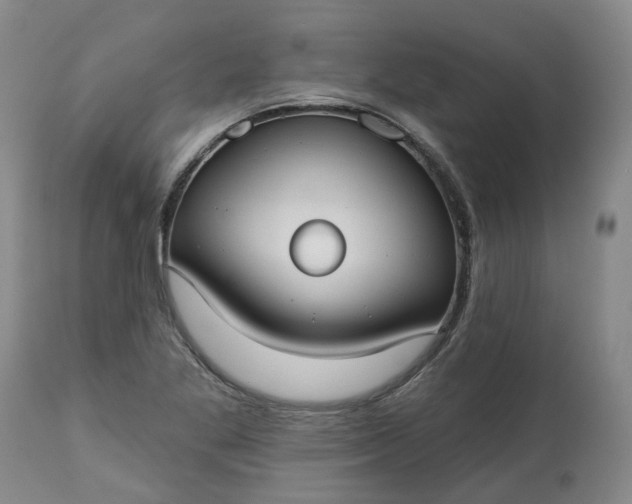 X0000113061269200909110906