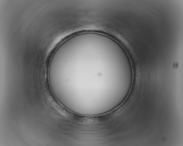 X0000113061270200909110906