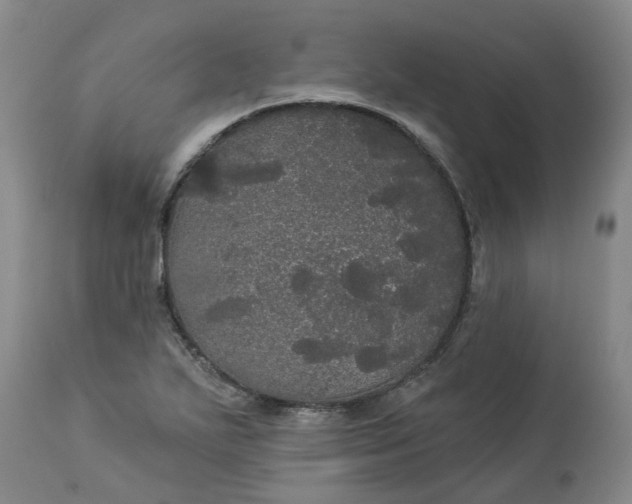 X0000113061271200909110905