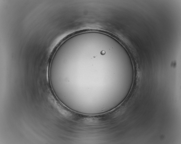X0000113061272200909110905