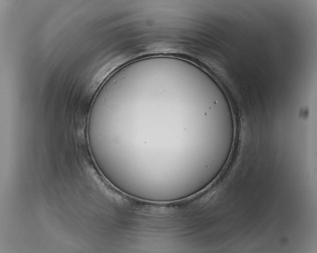 X0000113061273200909110905