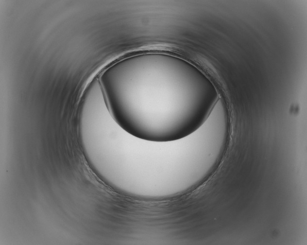 X0000113061276200909110905