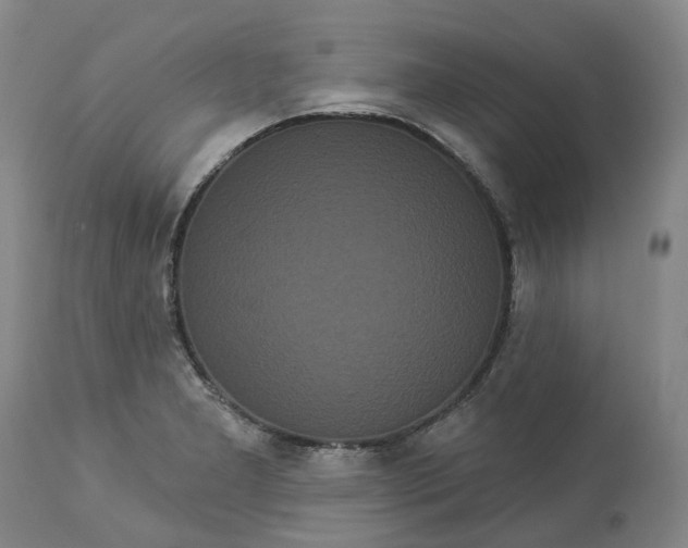 X0000113061277200909110905