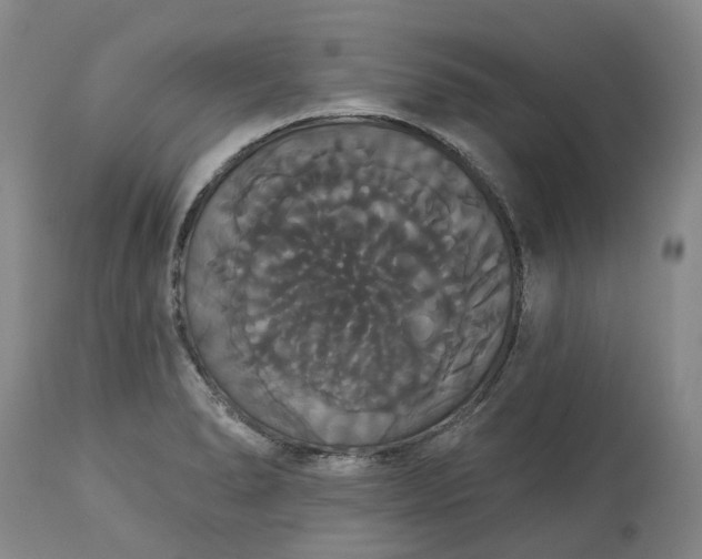 X0000113061278200909110905