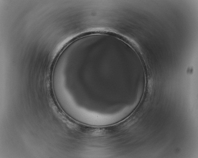 X0000113061279200909110905