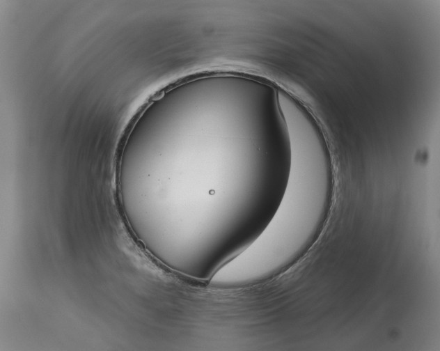 X0000113061280200909110905