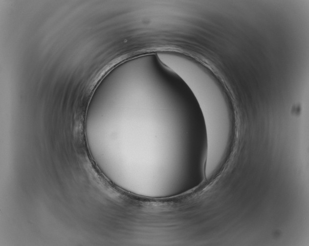 X0000113061281200909110905