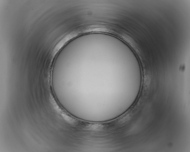 X0000113061282200909110905