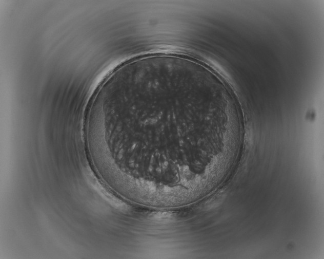 X0000113061283200909110905