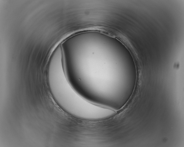 X0000113061284200909110905