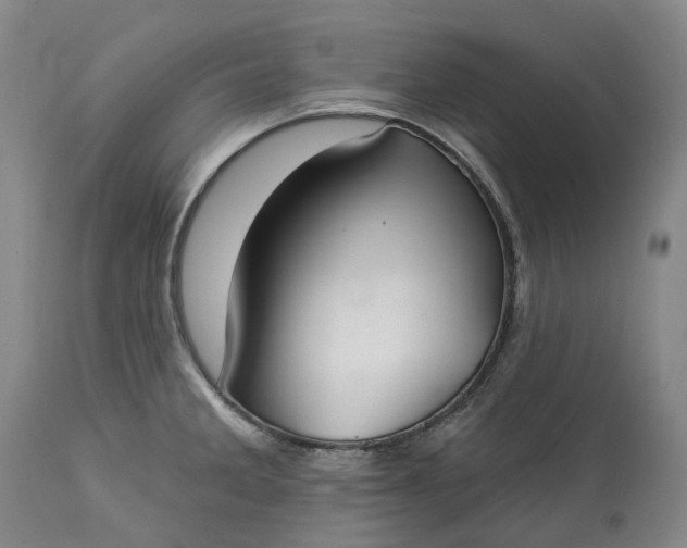 X0000113061285200909110905