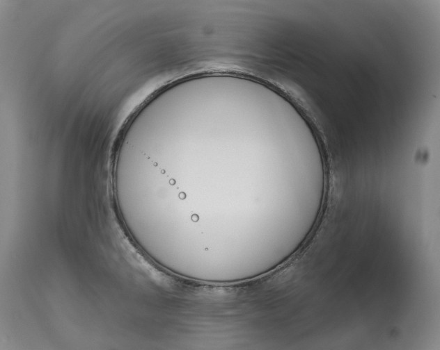 X0000113061286200909110905