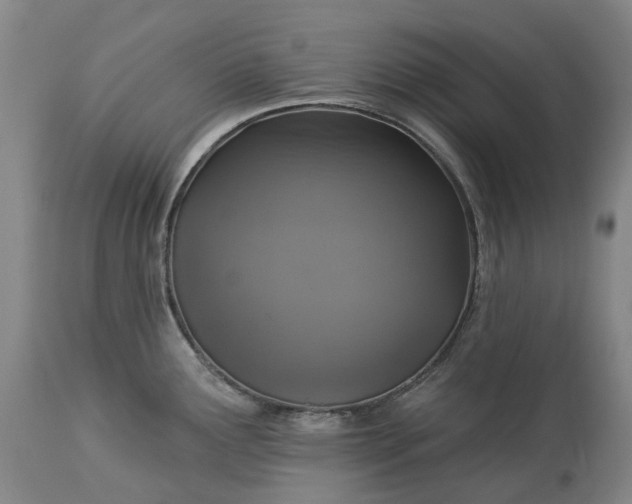 X0000113061291200909110905