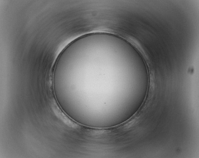 X0000113061292200909110905