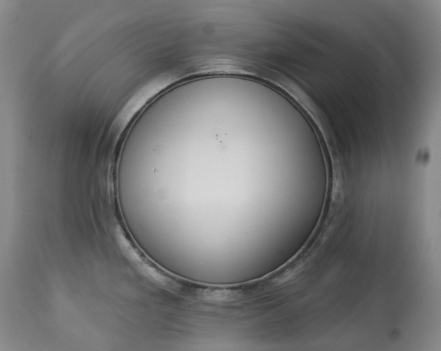 X0000113061293200909110905