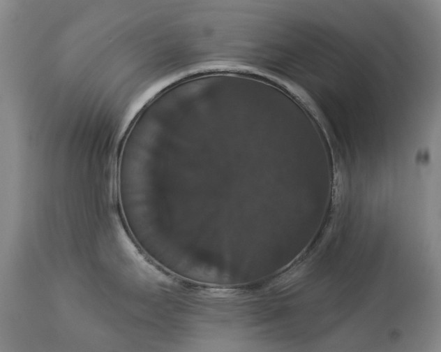 X0000113061295200909110905
