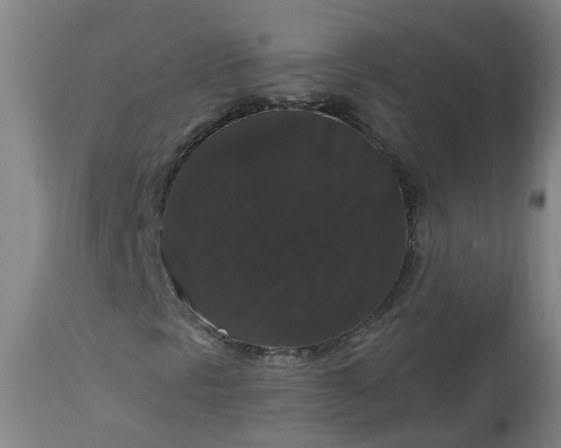 X0000113061297200909110904