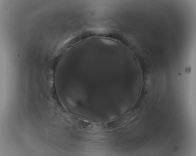 X0000113061301200909110904