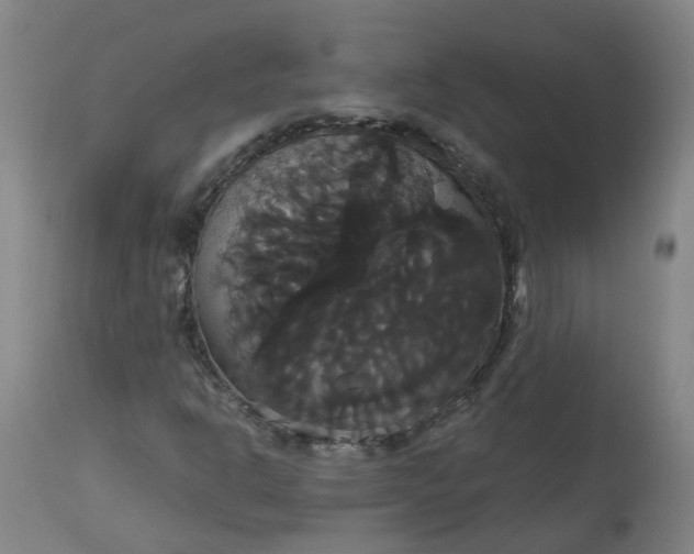 X0000113061302200909110904
