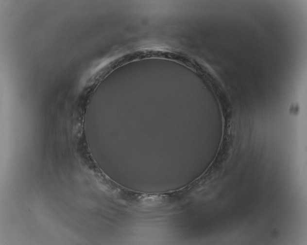 X0000113061303200909110904