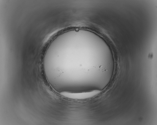 X0000113061304200909110904