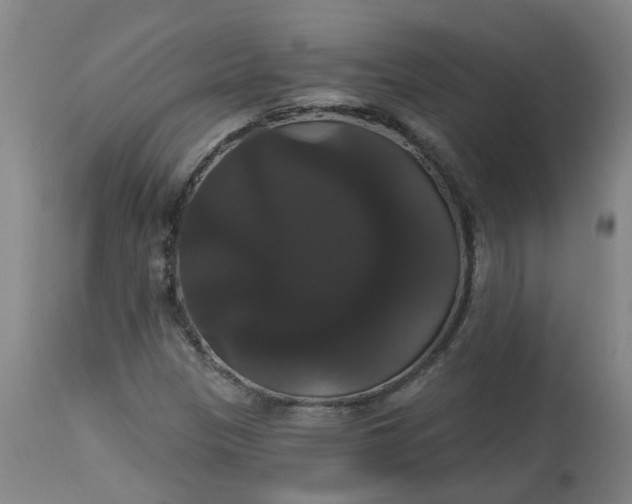 X0000113061305200909110904