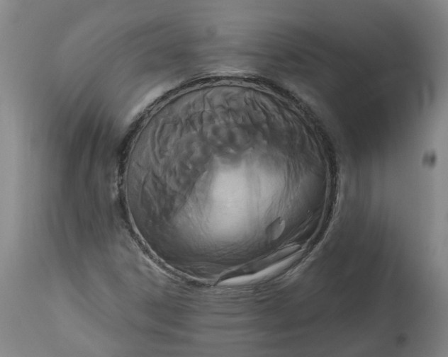 X0000113061306200909110904