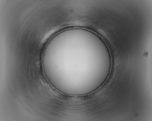 X0000113061307200909110904