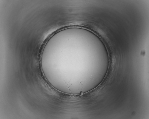 X0000113061308200909110904
