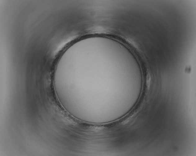 X0000113061309200909110904
