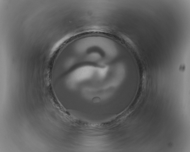 X0000113061310200909110904