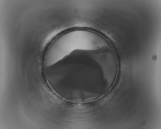 X0000113061311200909110905