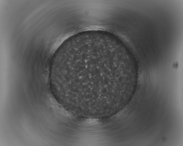 X0000113061313200909110905