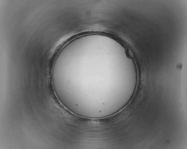 X0000113061315200909110905