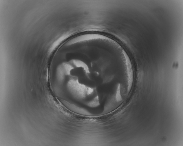 X0000113061317200909110905
