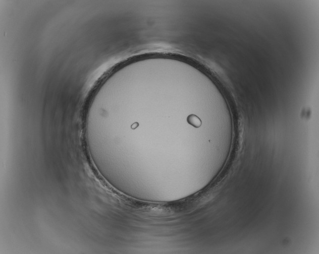 X0000113061318200909110905